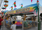 Zooloo Kangaroo